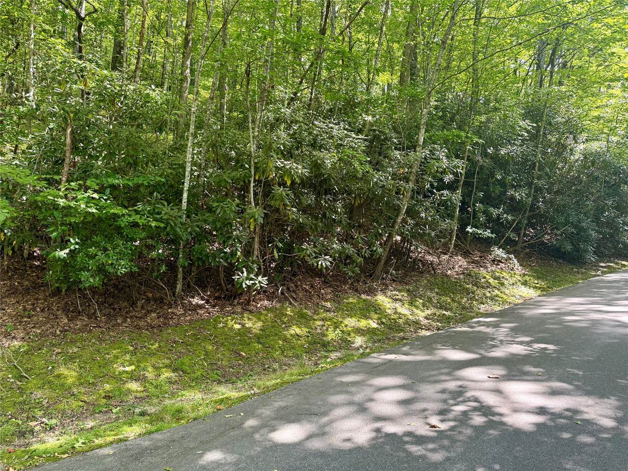 115 Black Oak Drive - Photo 1