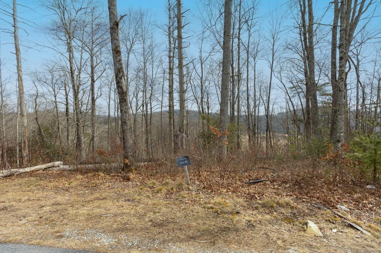Lot 22 Norton Ridge Lane - Photo 1