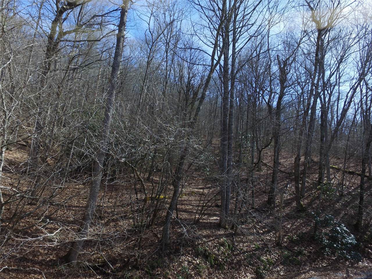 00 Great Falls Drive - Photo 1