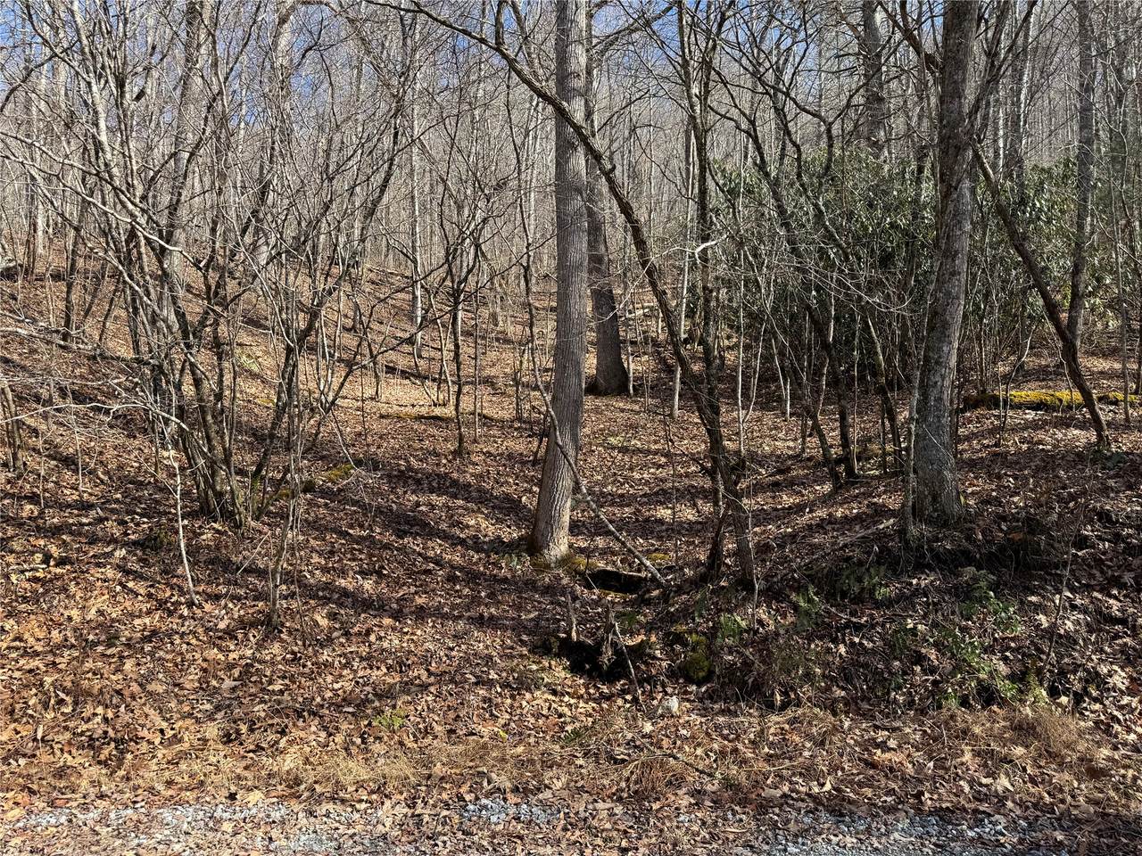 https://bt-photos.global.ssl.fastly.net/hcbor/1280_boomver_1_1002623-2.jpg