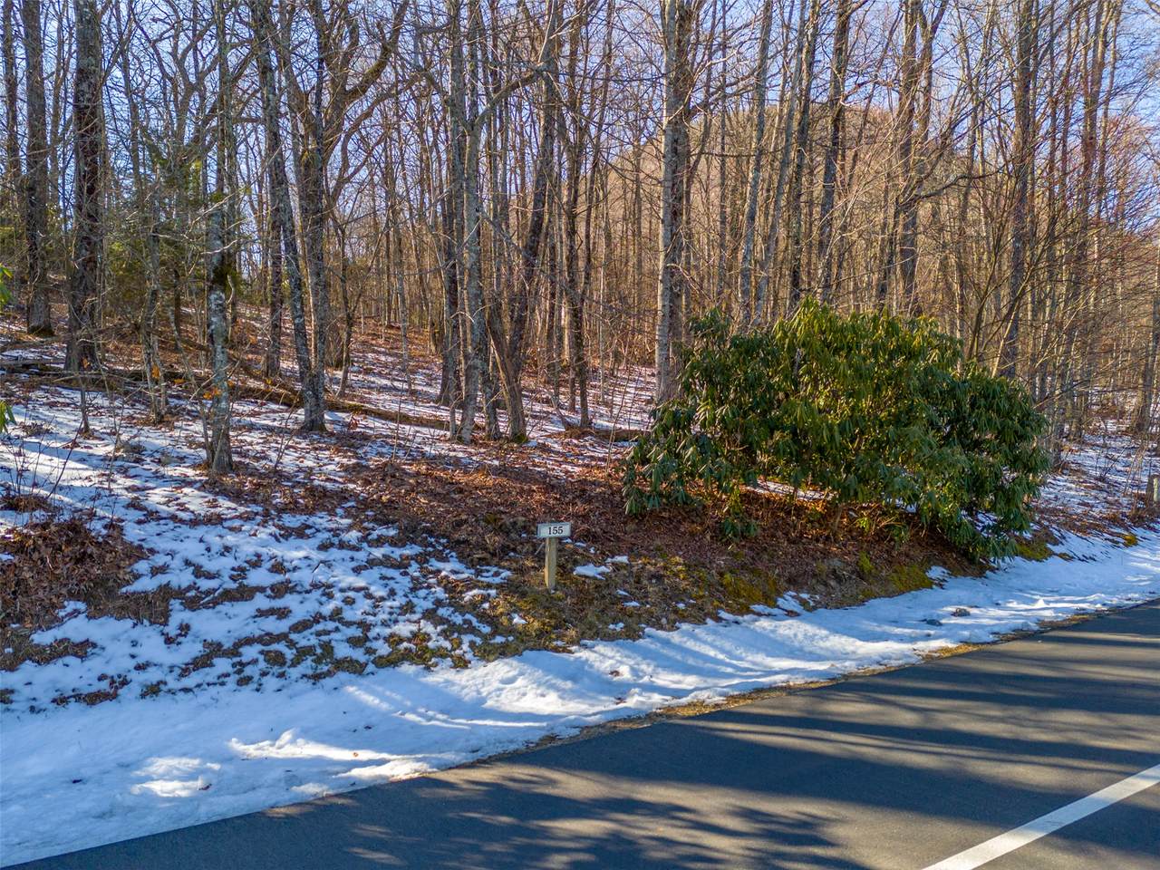 155 Windrush Trail - Photo 1