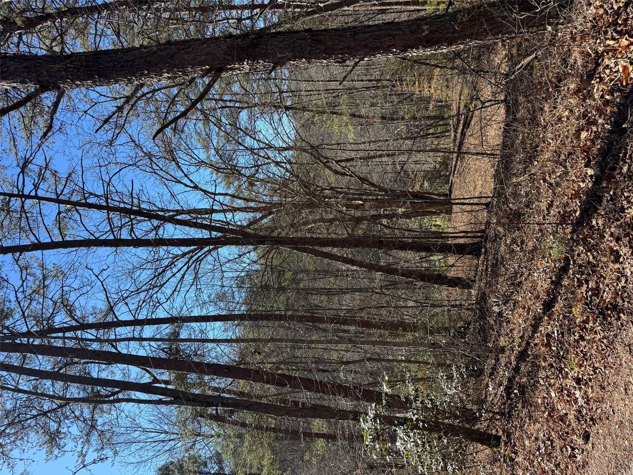 211 Hidden Hollow Lane - Photo 1