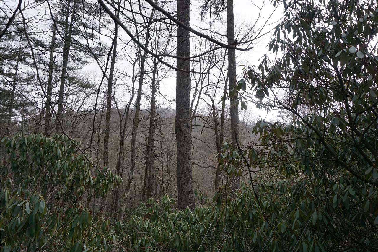 200 Hemlock Drive - Photo 1