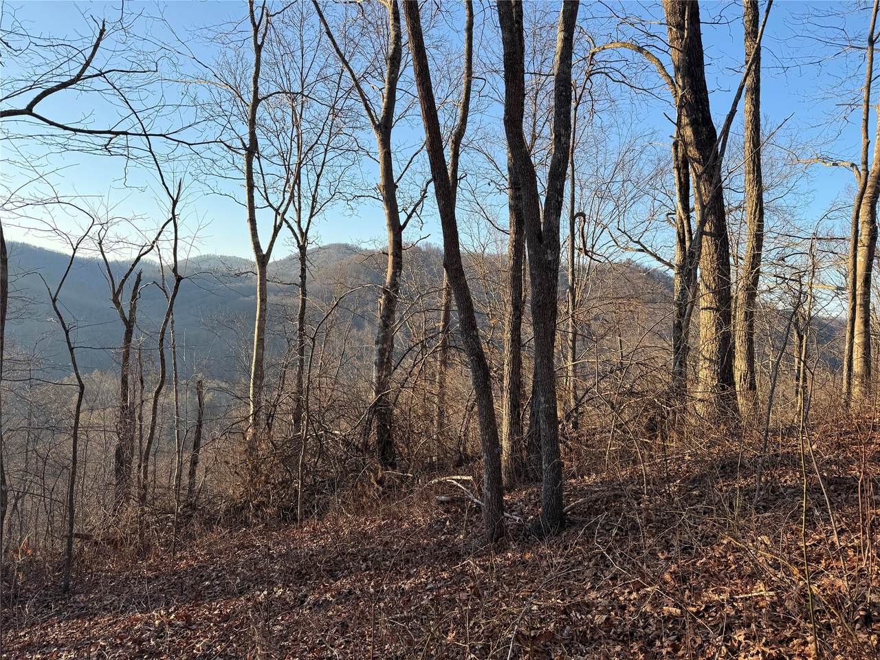 45 Big Pilot Mountain - Photo 1