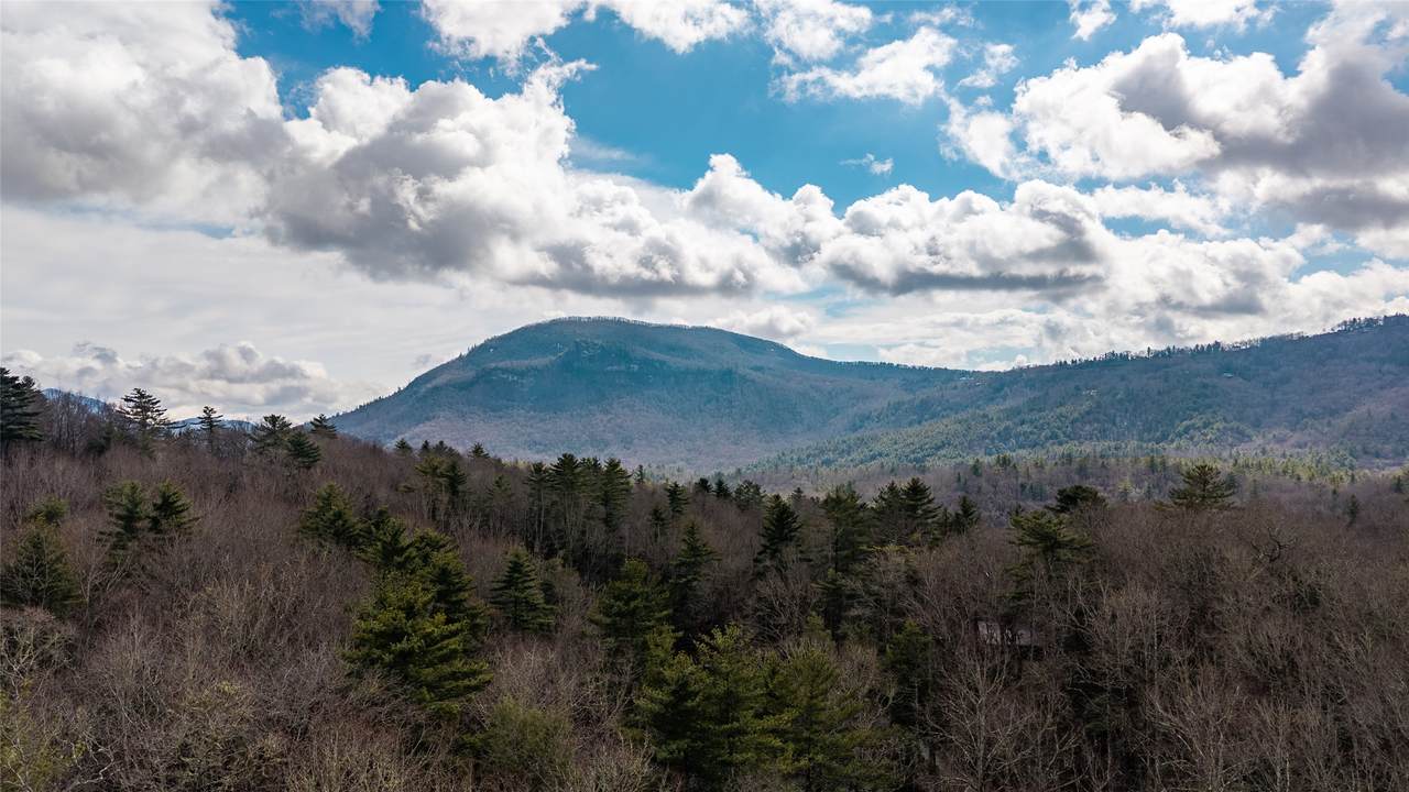 515 Stillmont Circle - Photo 1