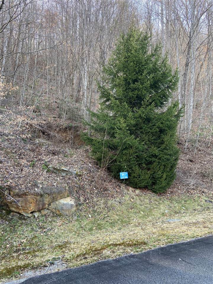 35 Waterdance Drive - Photo 1