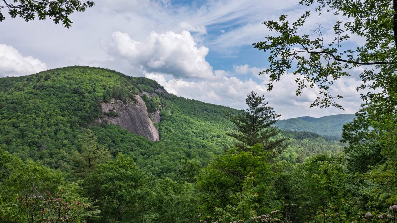 Lt 162 Lonesome Valley Road - Photo 1