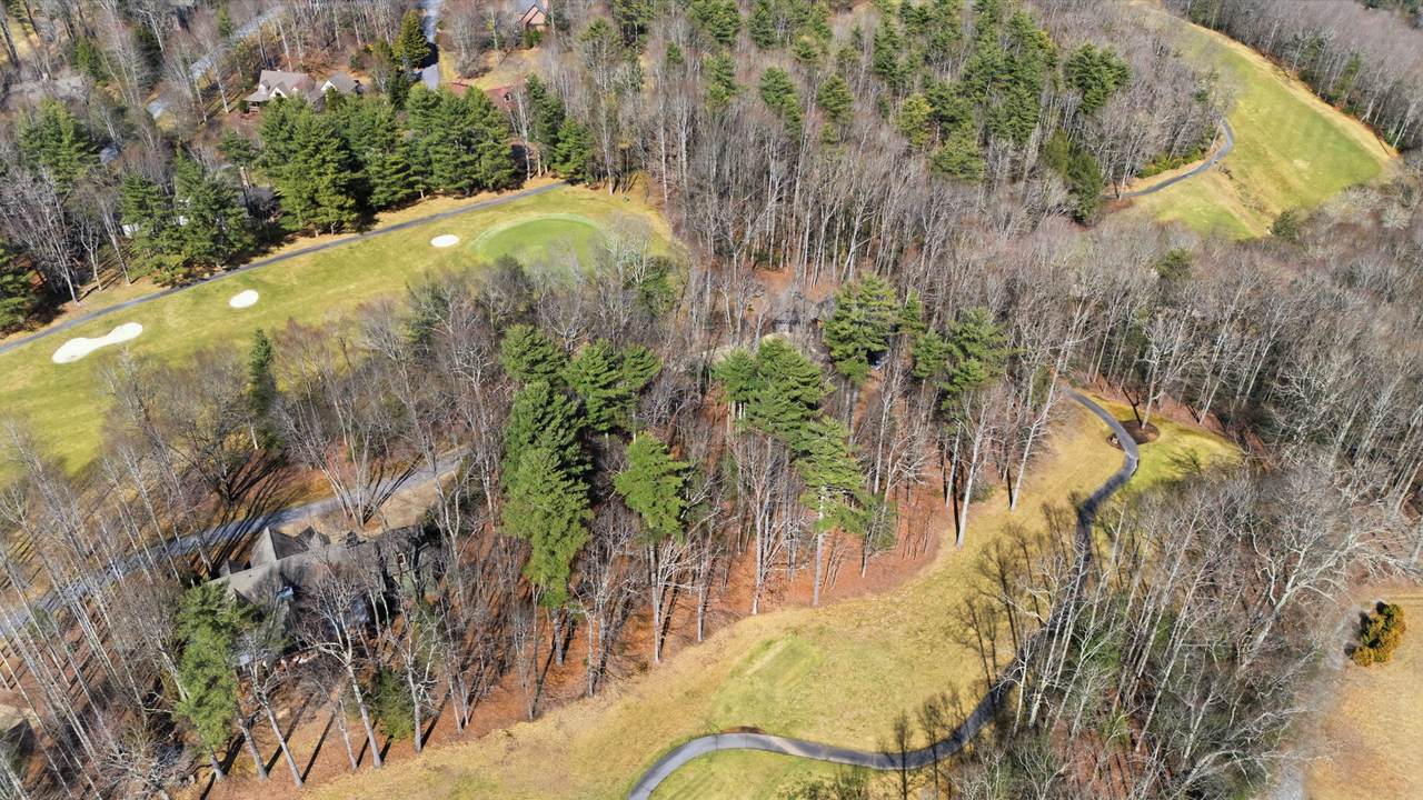 238 Wild Iris - Photo 1