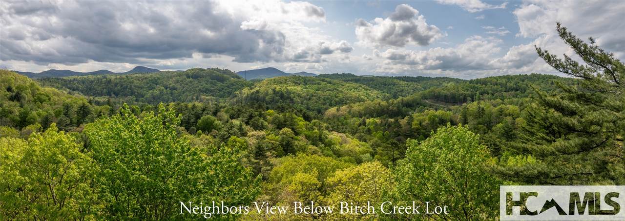 TBD Birch Creek Trail - Photo 1