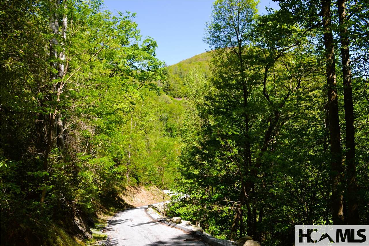Lot 20 Speckled Feather Pass - Photo 1