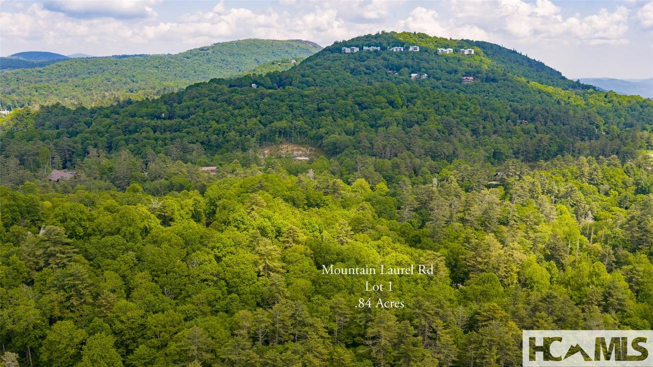 Lot 1 Mountain Laurel Drive - Photo 1