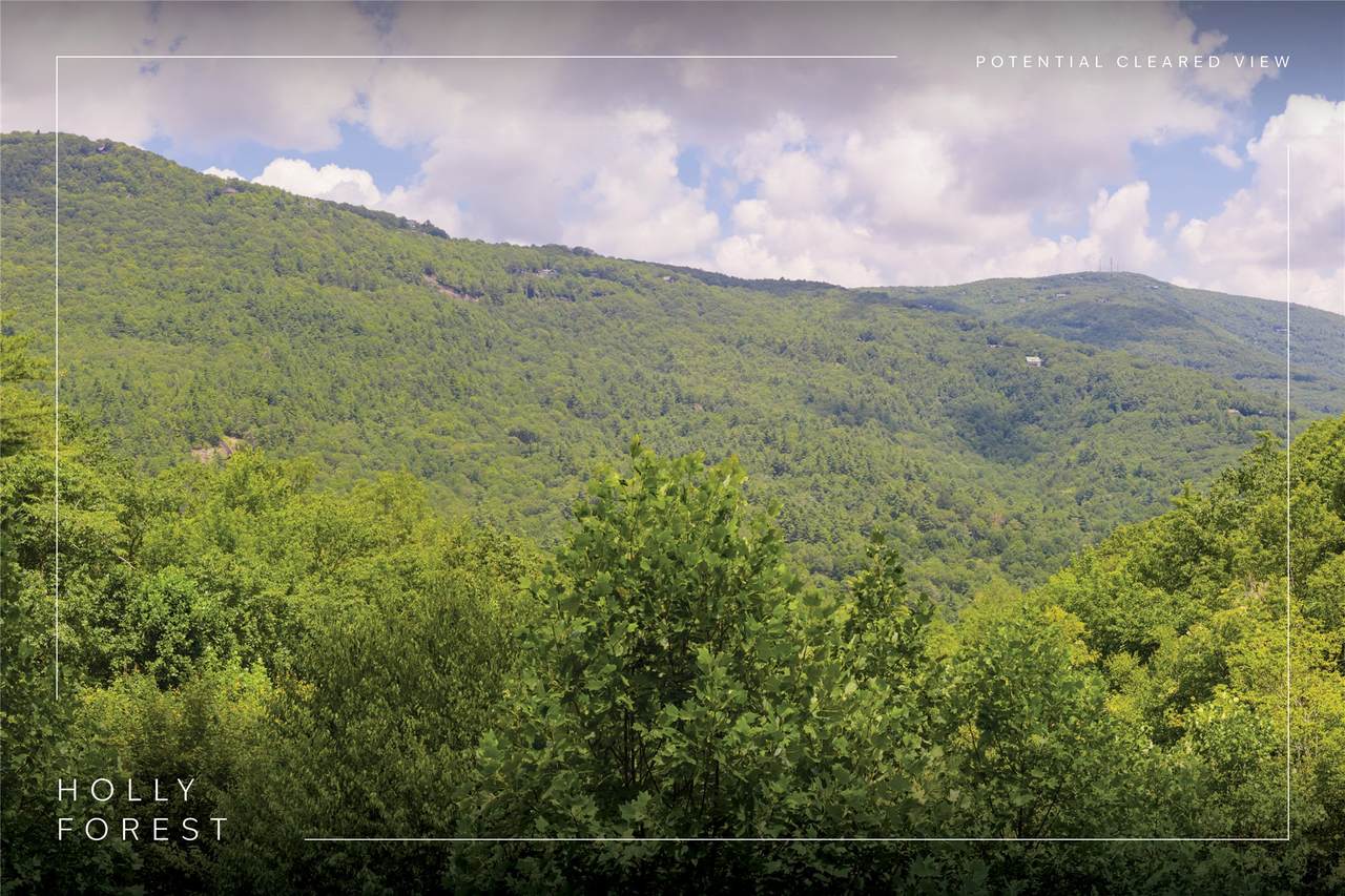 Lot 91 Bald Eagle Court - Photo 1