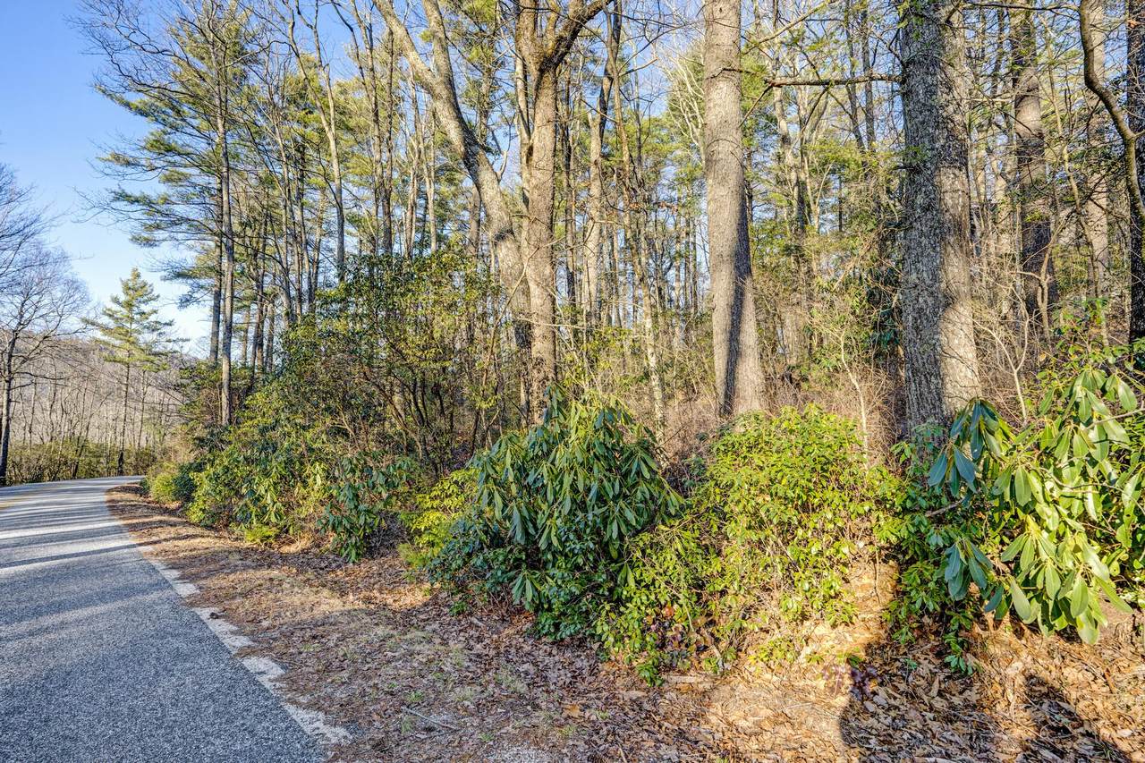 Lot 17 Bowery - Photo 1