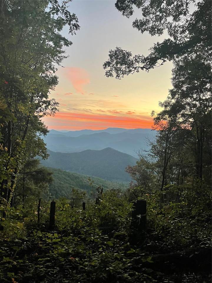TBD Buck Knob Road - Photo 1