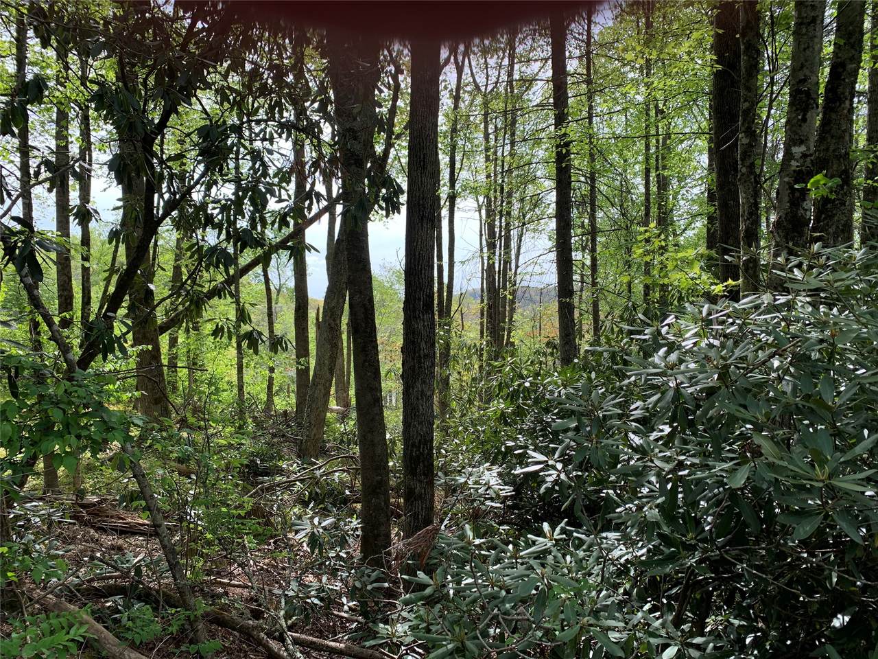 https://bt-photos.global.ssl.fastly.net/hcbor/1280_boomver_2_1002871-2.jpg