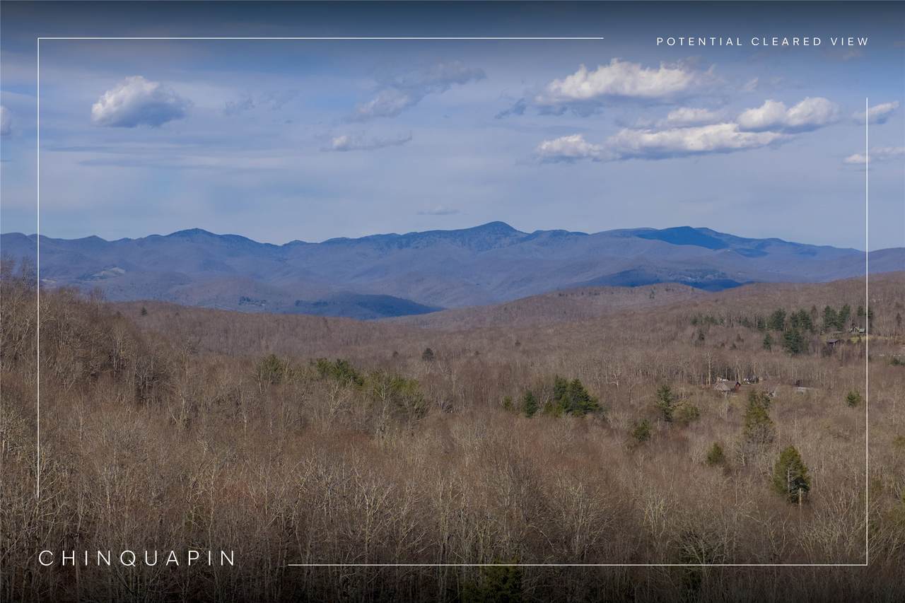 D14 Mossy Bark Trail - Photo 1