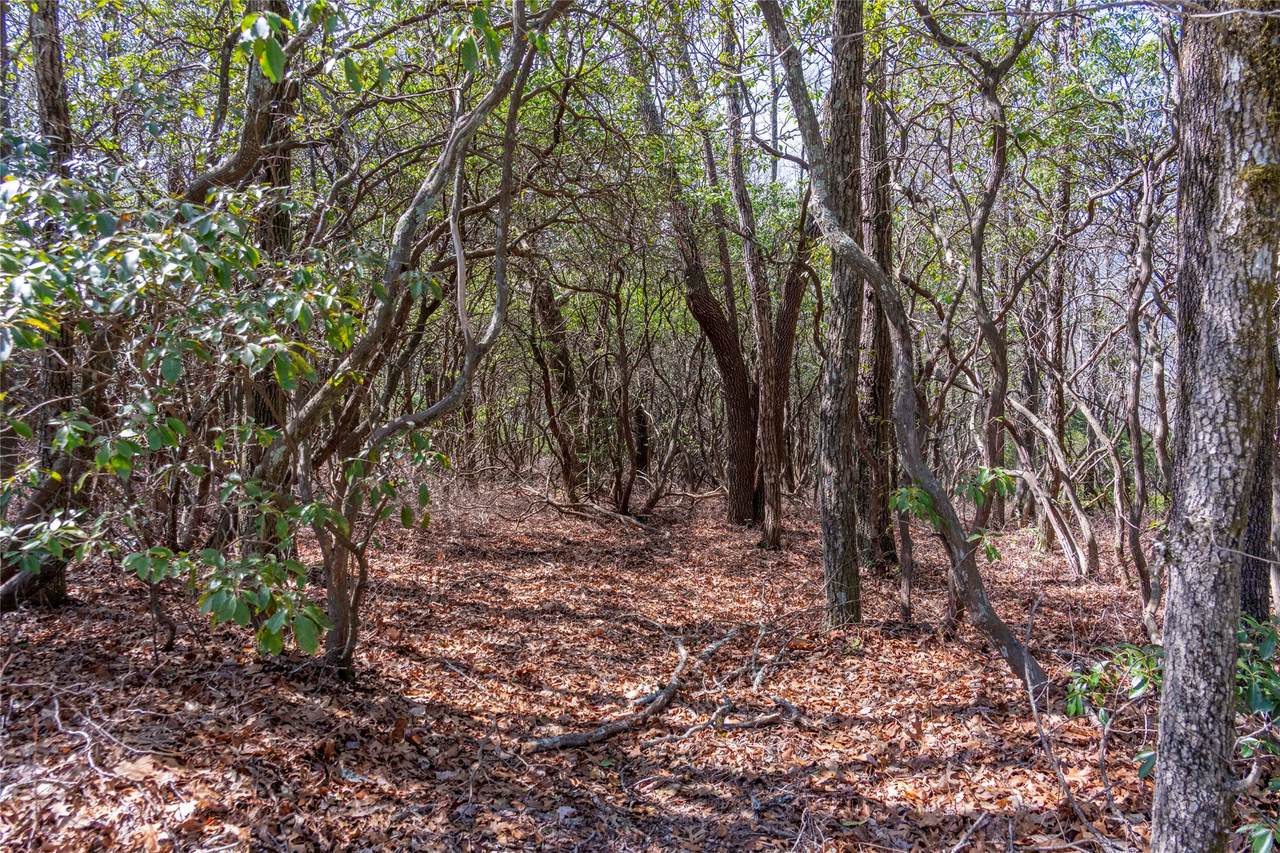 LS 14 Lakeside Drive - Photo 1