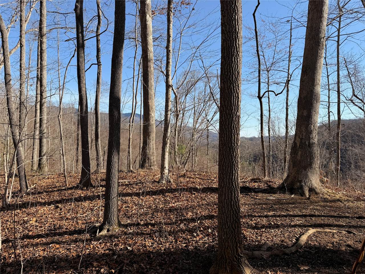 0 Posey Blanton Road - Photo 1