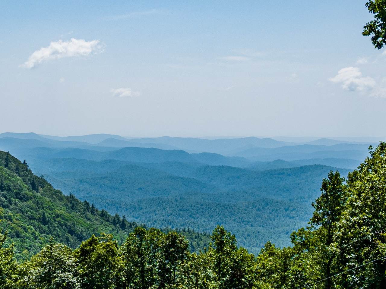 4431 Dillard Road - Photo 1