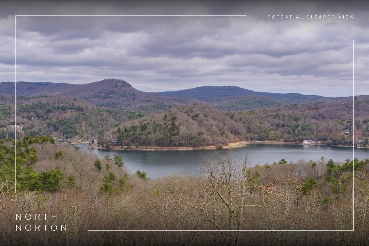 Tr A Fenley Forest Trail - Photo 1