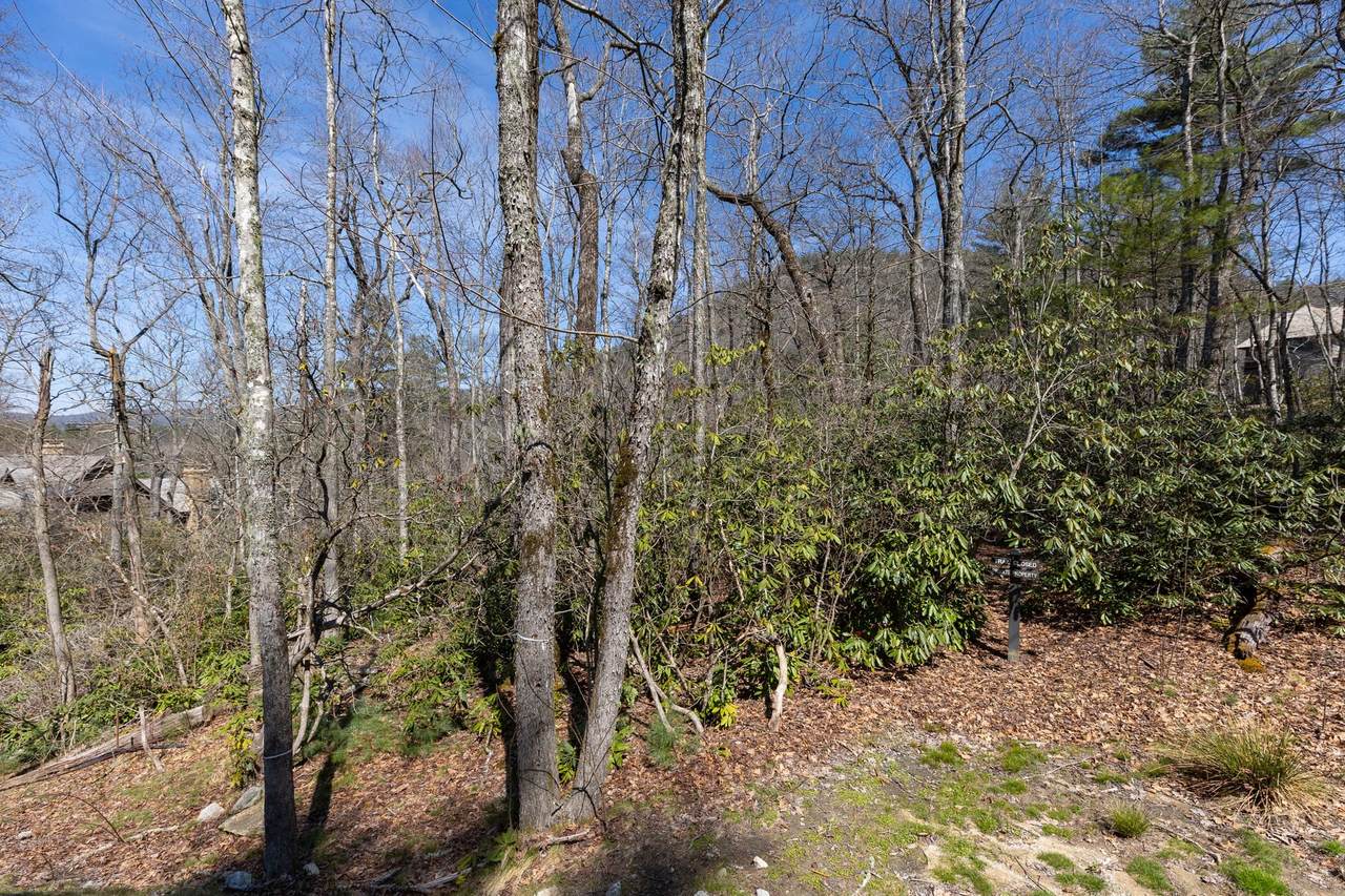 54 Ramble Ridge Road - Photo 1