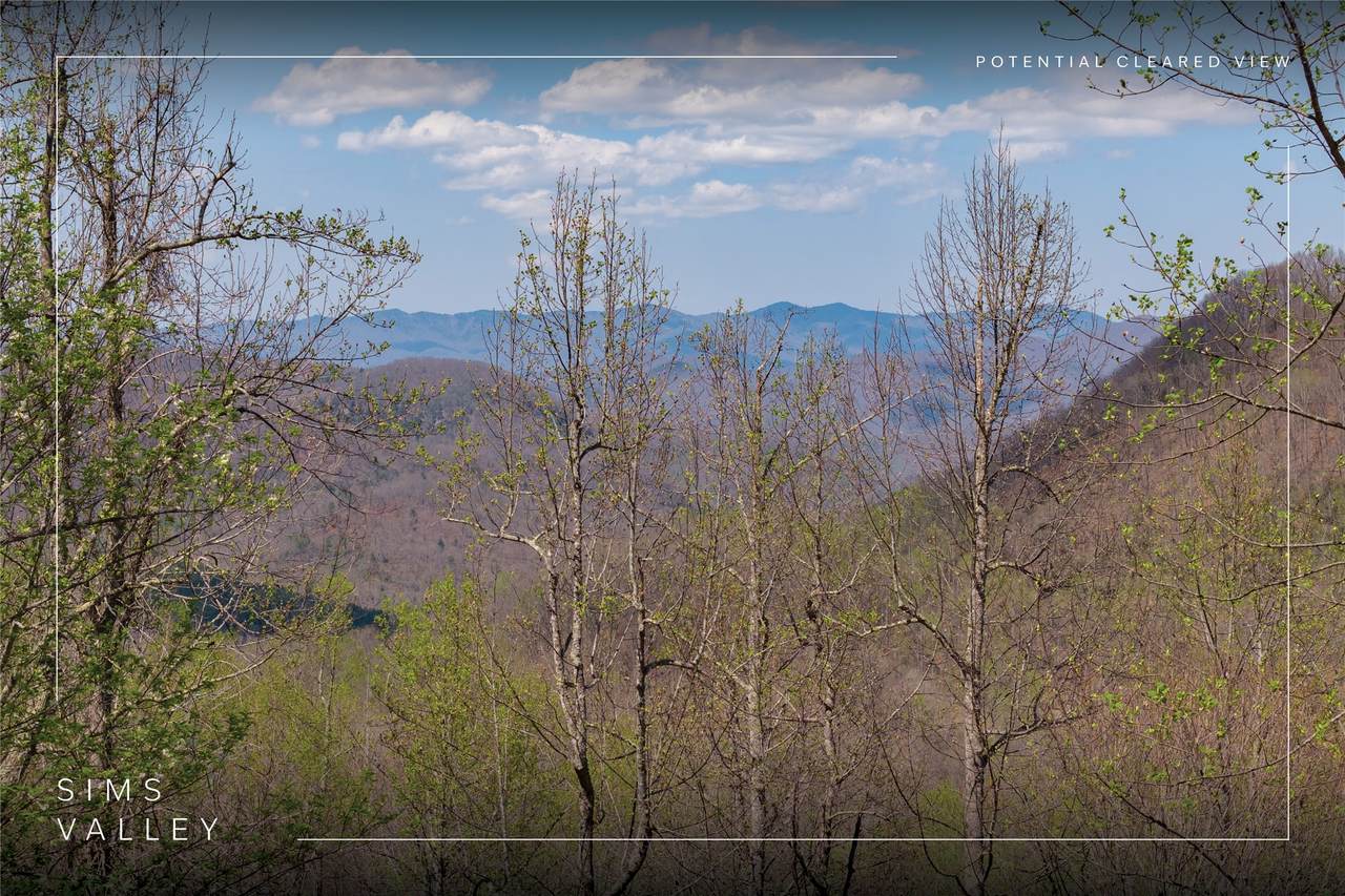 Lot 57 Sims Valley - Photo 1