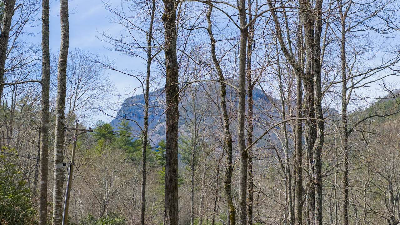 Lot 17 Saratay Falls Drive - Photo 1
