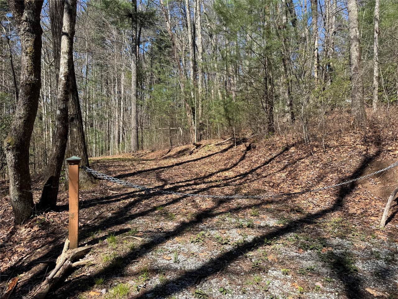 Lot 1 Bear Log Road - Photo 1