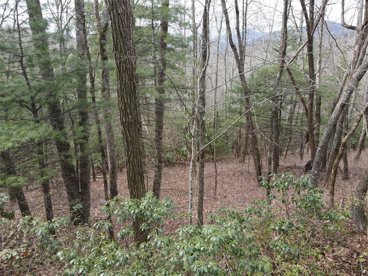 https://bt-photos.global.ssl.fastly.net/hcbor/1280_boomver_1_1003031-2.jpg