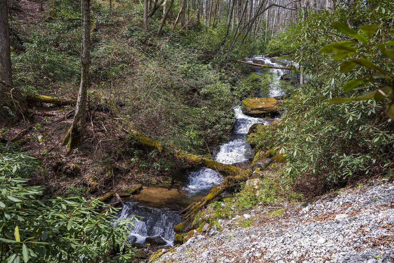 TBD Diamonds Creek Road - Photo 1