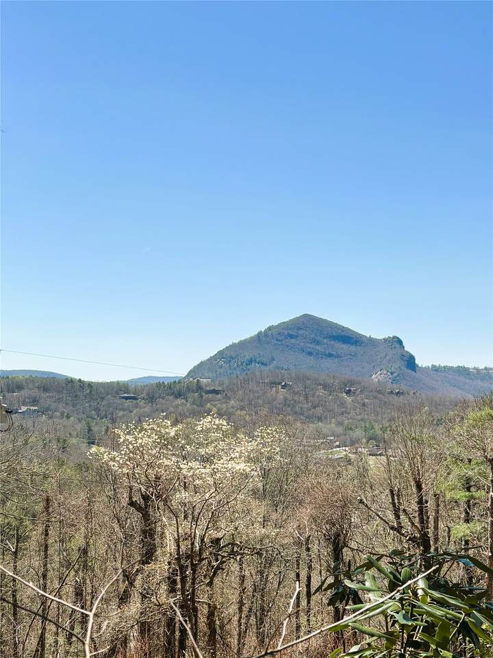 12 Watch Hill Lane - Photo 1