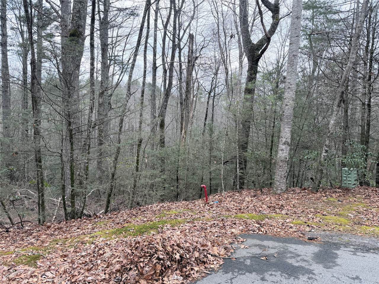 11 Mountain Laurel Court - Photo 1