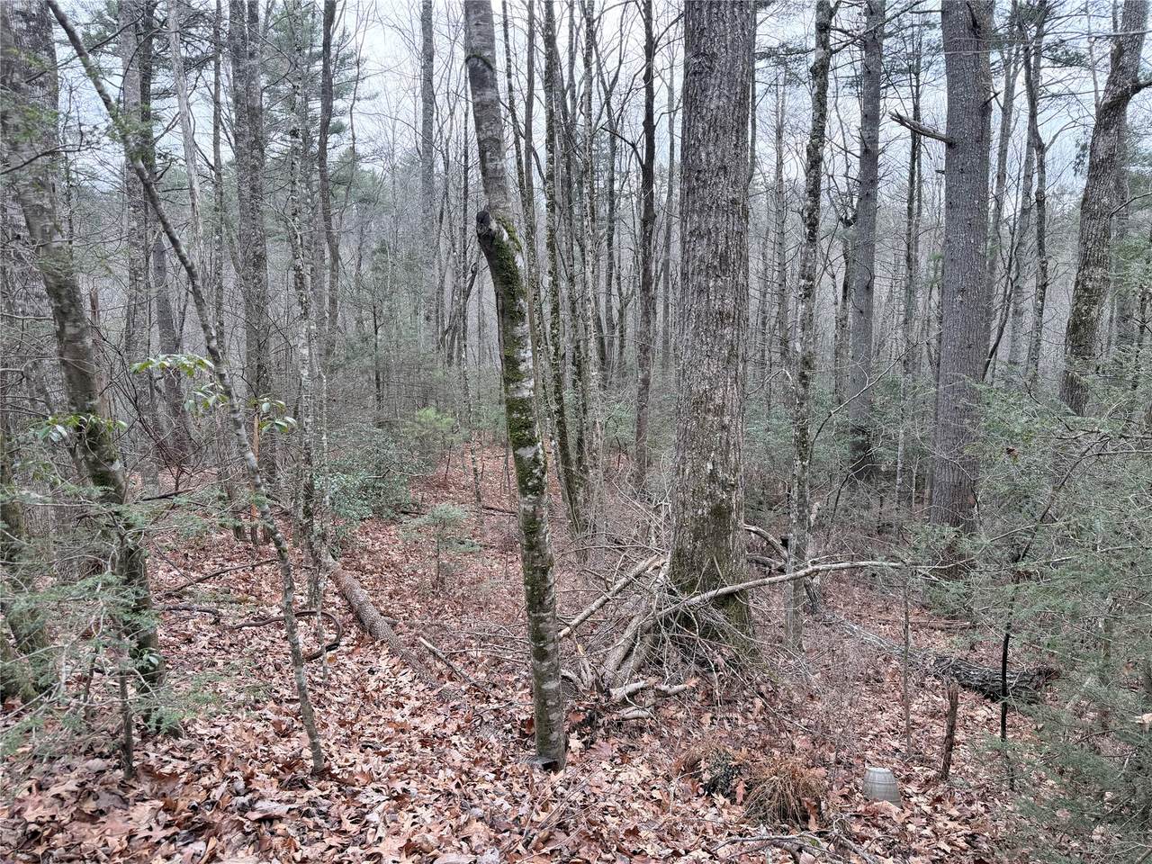 https://bt-photos.global.ssl.fastly.net/hcbor/1280_boomver_1_1003070-2.jpg