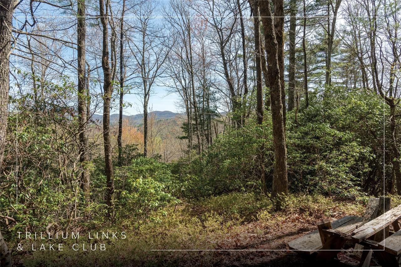Lot 4 Trillium Ridge Road - Photo 1