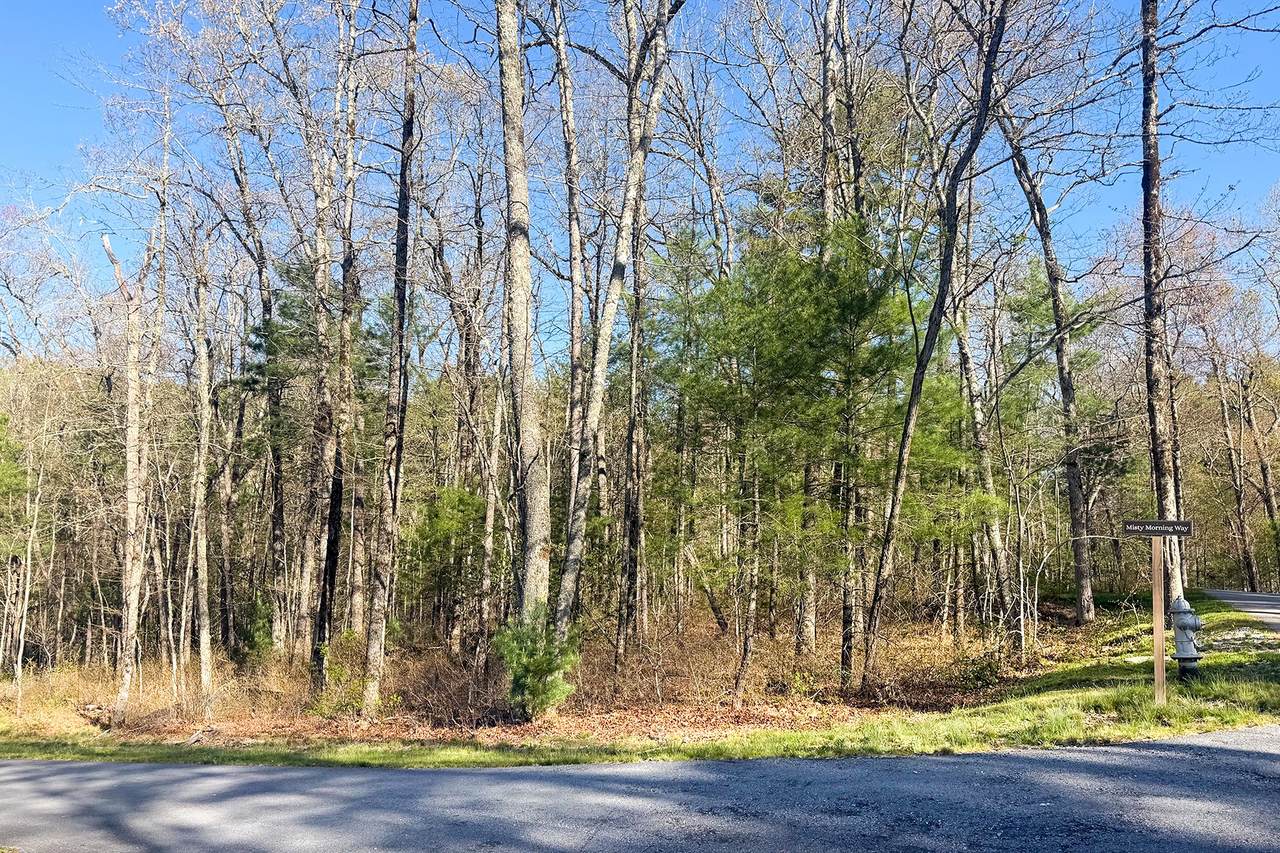 Lt 8 Norton Ridge Lane - Photo 1