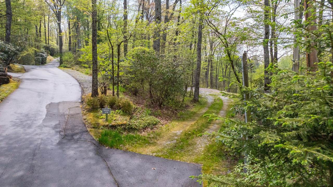 376 Heaton Forest - Photo 1