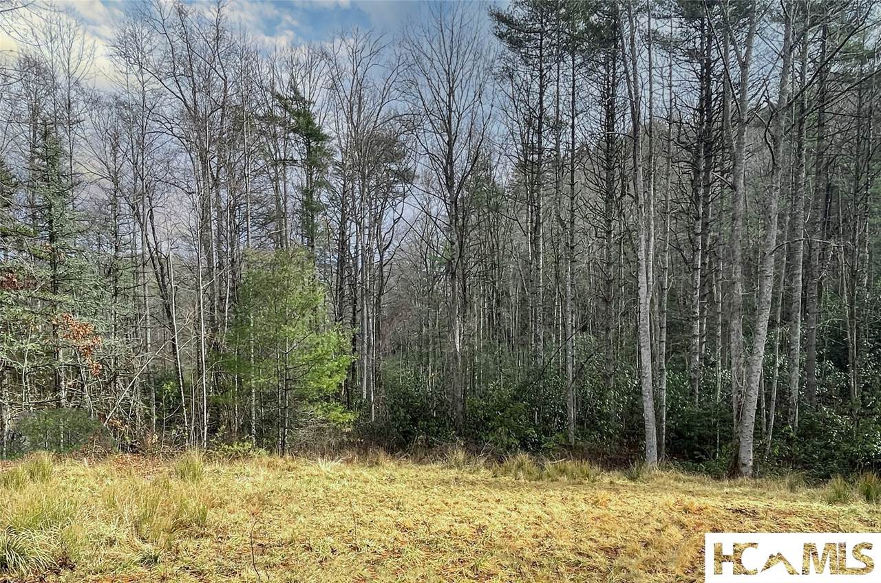 Lot 4 Saratay Falls Drive - Photo 1