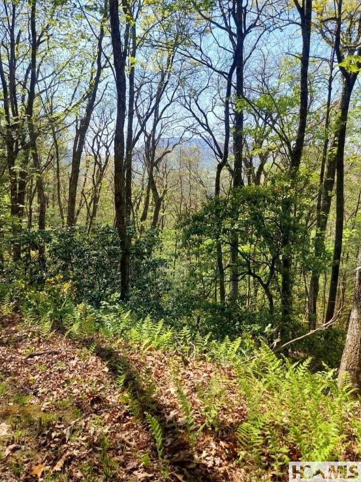 0 Pipetrack Gap Road - Photo 1