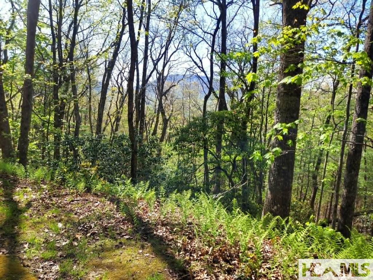 https://bt-photos.global.ssl.fastly.net/hcbor/1280_boomver_1_1003152-2.jpg