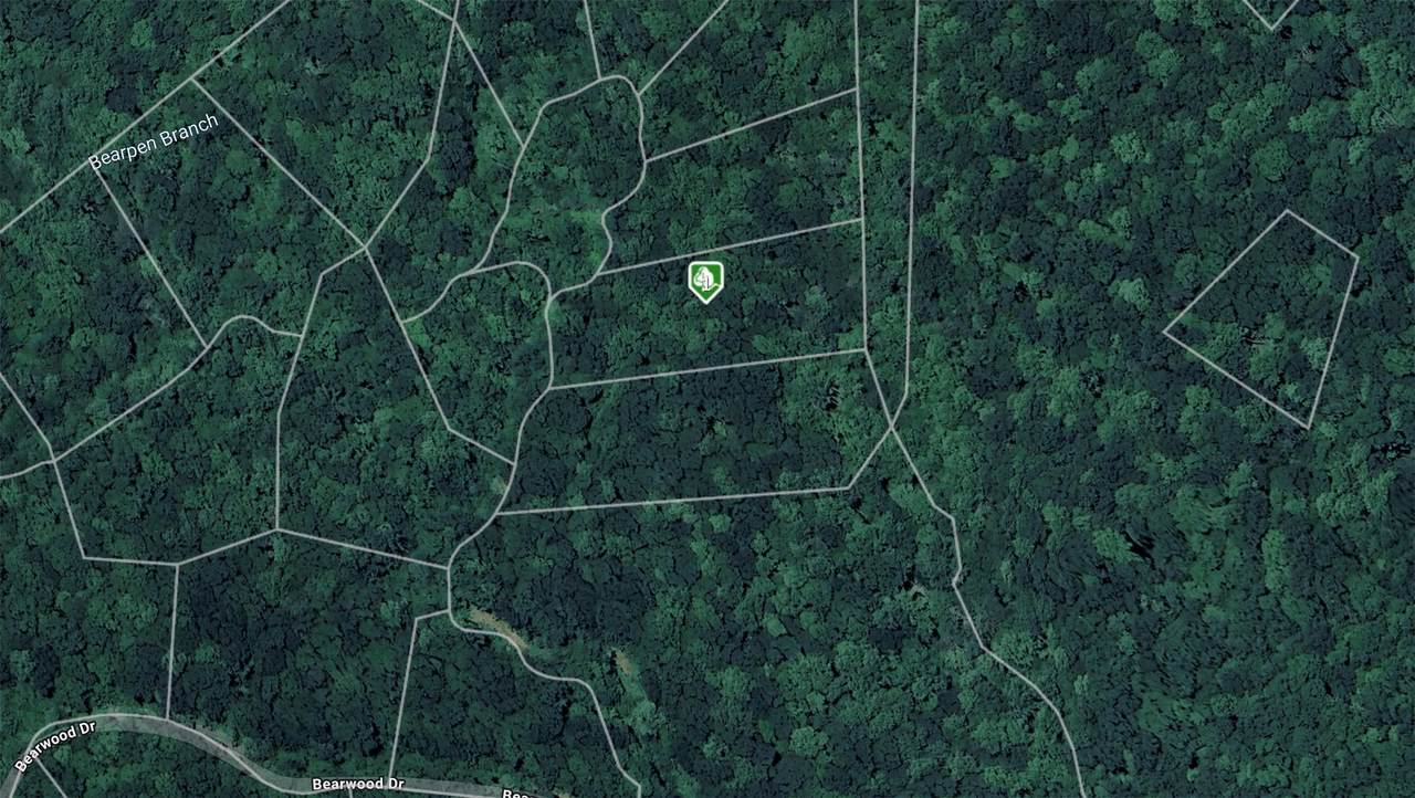 41 Wolf Knob Road - Photo 1