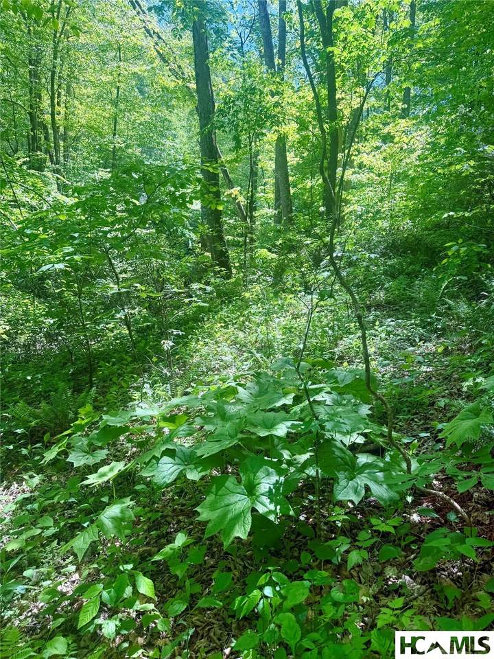 https://bt-photos.global.ssl.fastly.net/hcbor/1280_boomver_1_1003178-2.jpg