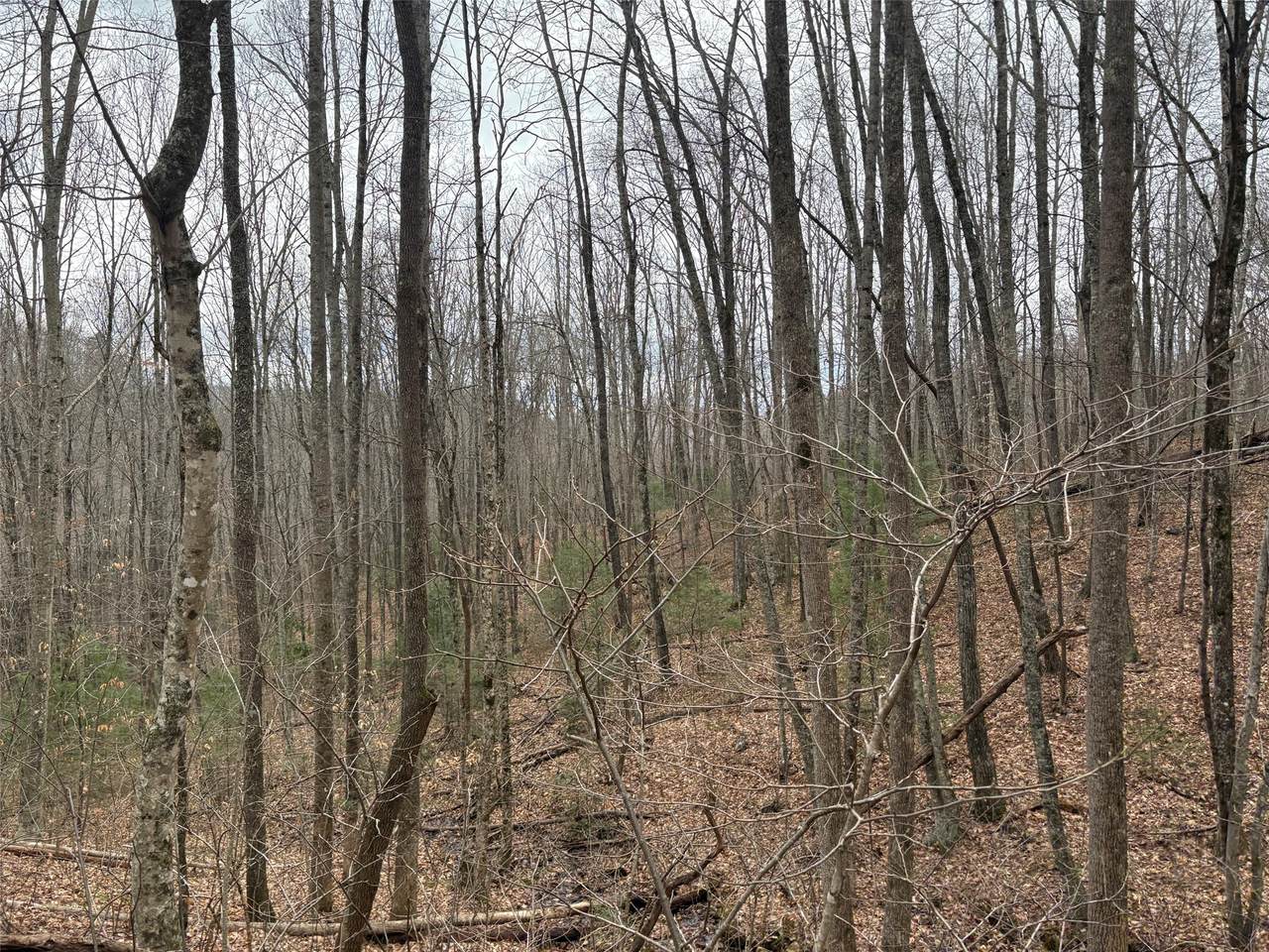 0 Pond View Ridge - Photo 1