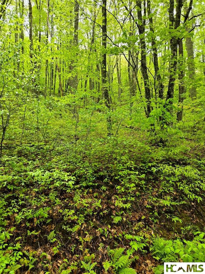 https://bt-photos.global.ssl.fastly.net/hcbor/1280_boomver_1_1003241-2.jpg