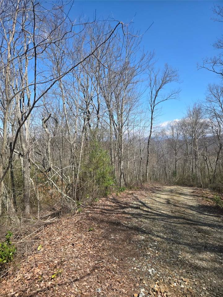67 Wolf Knob Road - Photo 1