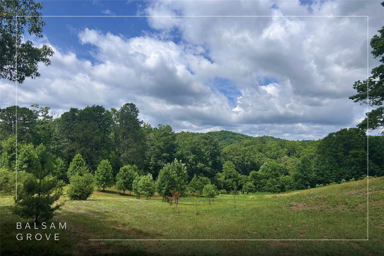 132 Jason Mccall Cemetary Road - Photo 1