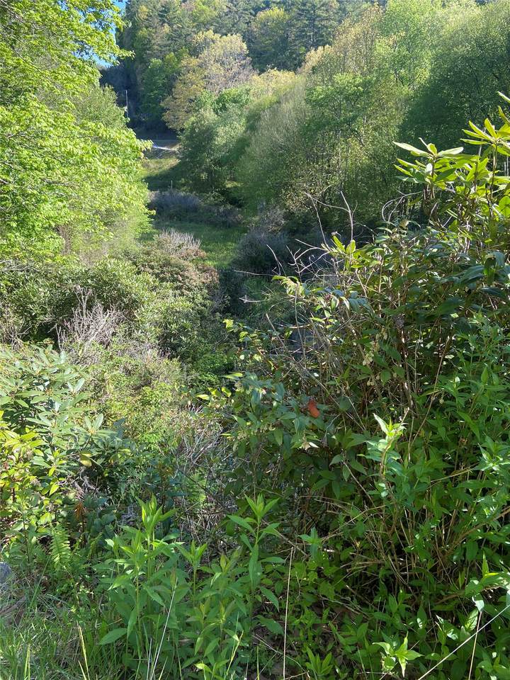 25 Receptive Drive - Photo 1