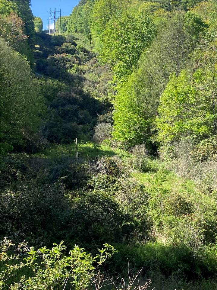 https://bt-photos.global.ssl.fastly.net/hcbor/1280_boomver_1_1003289-2.jpg