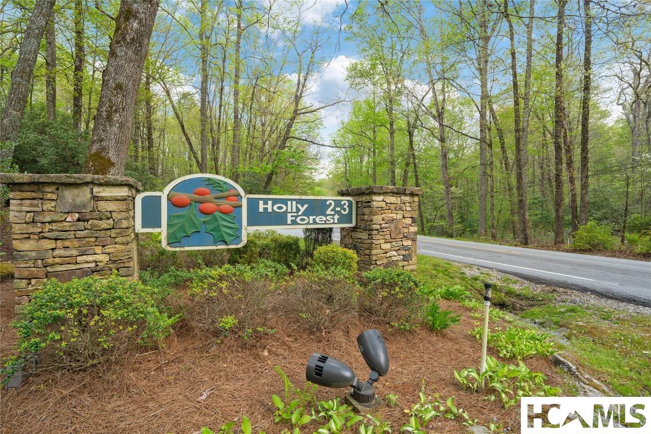 44 Holly Road - Photo 1