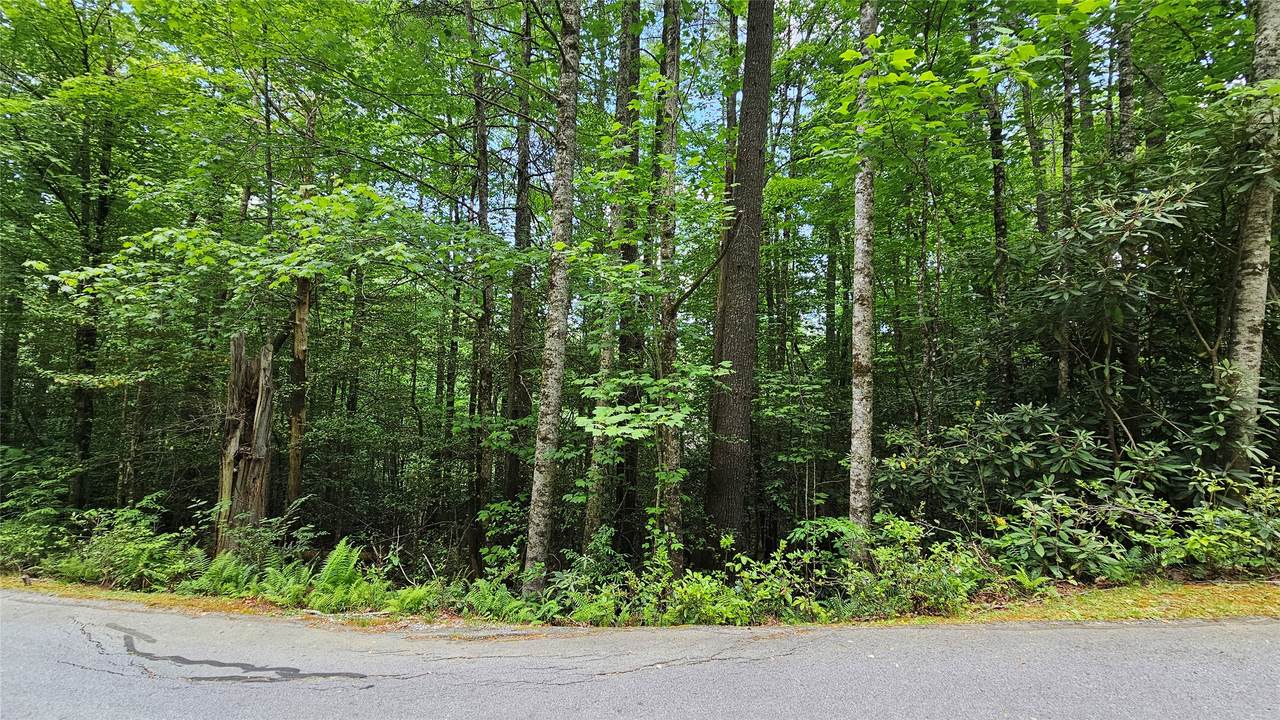 L162 Sunrise Court - Photo 1