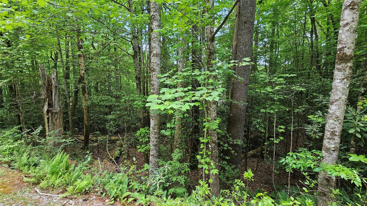 https://bt-photos.global.ssl.fastly.net/hcbor/1280_boomver_1_1003350-2.jpg